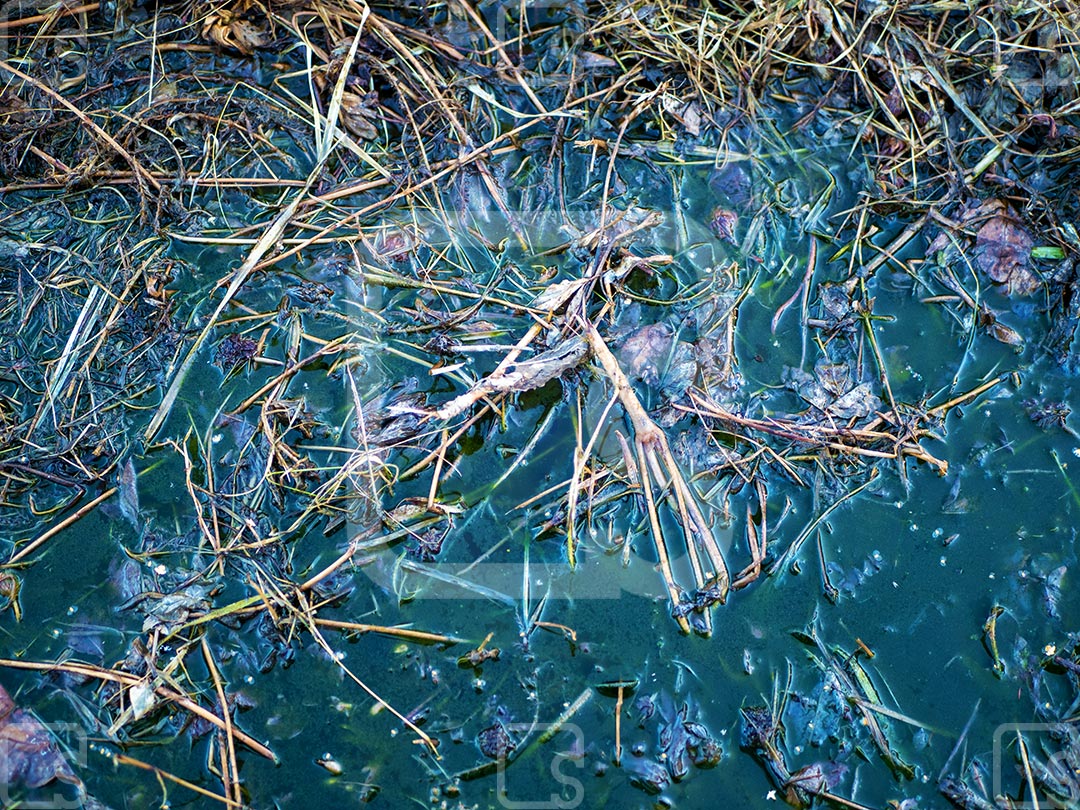 Spillbox poluicao rios contamincao quimica acidente quimico